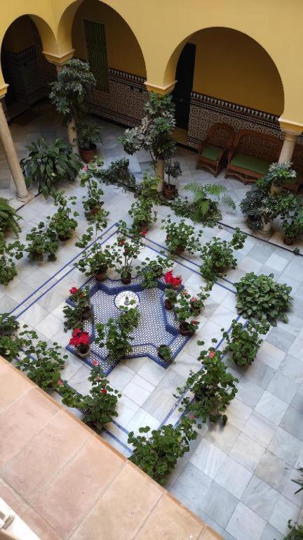 Conteros Sevilla Urban Dış mekan fotoğraf
